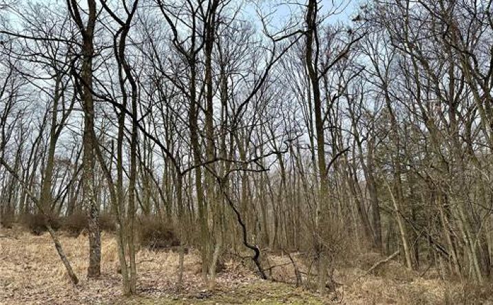 Pictures of Land property located at TBD McHendry St, Weirton, WV 26062 for sales - image #1
