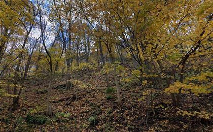 Pictures of Land property located at TBD Middle Run Rd, Chester, WV 26034 for sales - image #1