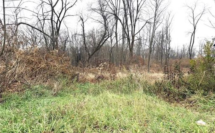 Pictures of Land property located at TBD Greenbrier Rd, Weirton, WV 26062 for sales - image #1