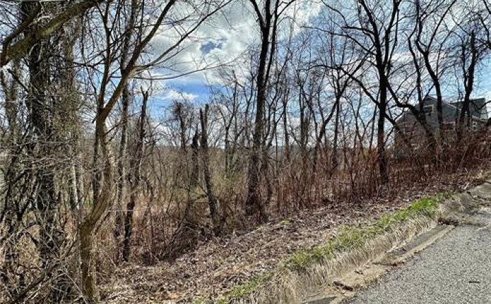 Pictures of Land property located at TBD Alta St, Weirton, WV 26062 for sales - image #1