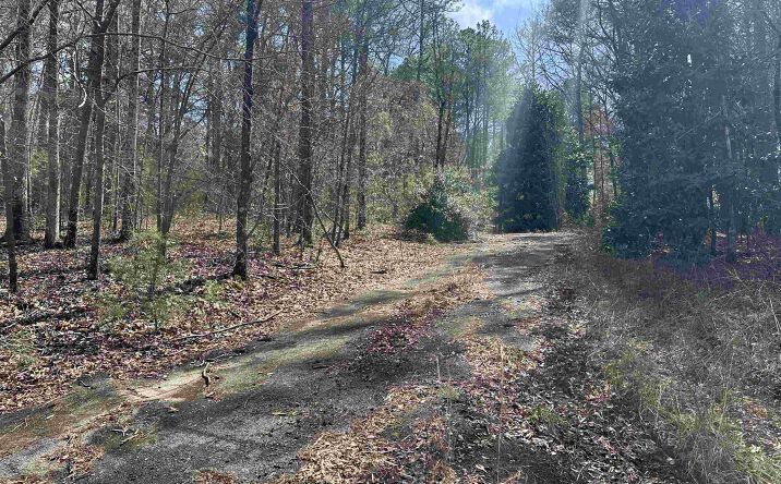 Pictures of Land property located at 0 Dearmanville Road, Anniston, AL 36207 for sales - image #1