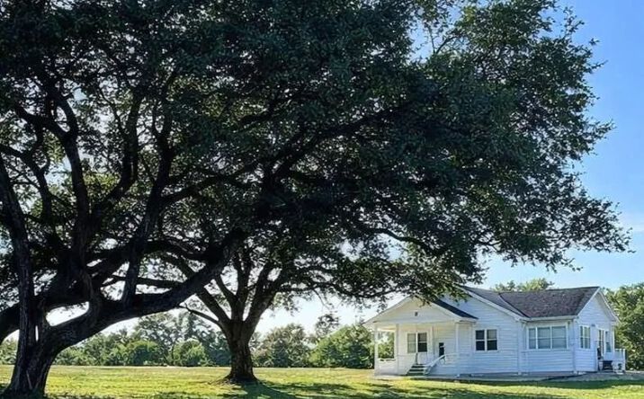 Pictures of Land property located at 248 County Road 378,, 126020, TX 77964 for sales - image #1