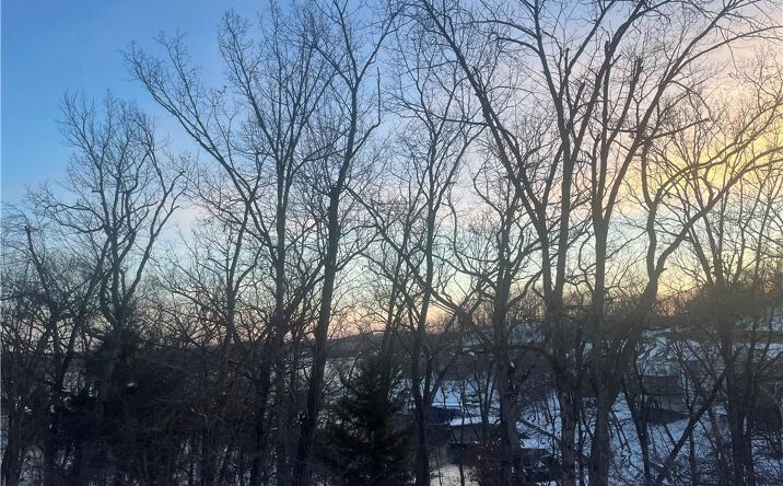 Pictures of Land, Special Purpose property located at Palisades Drive, Four Seasons, MO 65049 for sales - image #1
