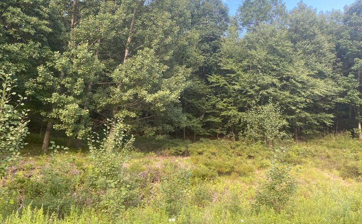 Pictures of Land property located at 95 Halley Drive, Haverstraw, NY 10970 for sales - image #1
