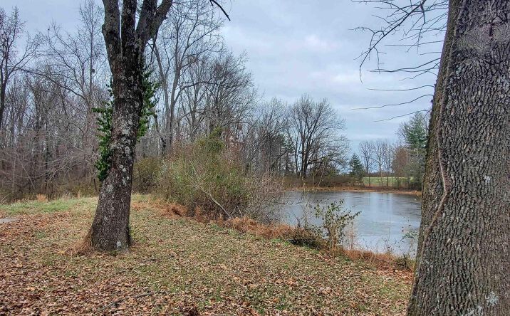 Pictures of Land property located at DELAWARE Road, Carbondale, IL 62901 for sales - image #1
