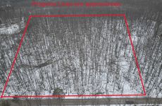 29374359