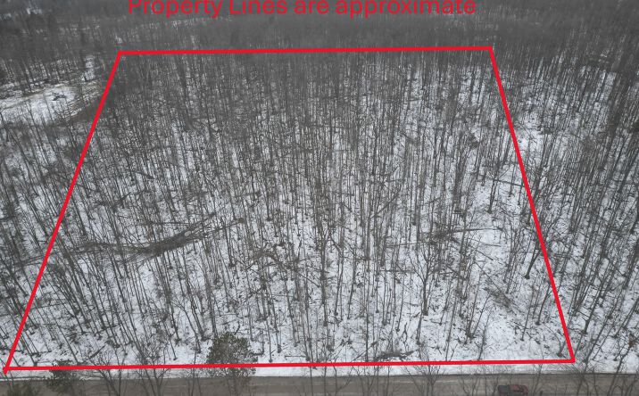 Pictures of Land property located at 13384 Bartz Rd, Hubbard Lake, MI 49747 for sales - image #1