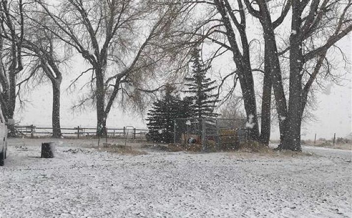 Pictures of Multifamily property located at 407 Diamond Basin Rd, Cody, WY 82414 for sales - image #1