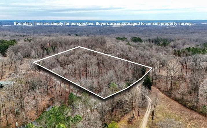 Pictures of Land, Multifamily property located at Woodward Ln, Springville, TN 38256 for sales - image #1