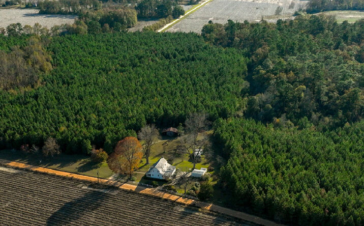 Pictures of Land property located at 301 New Light Rd., Sylvania, GA 30467 for sales - image #1