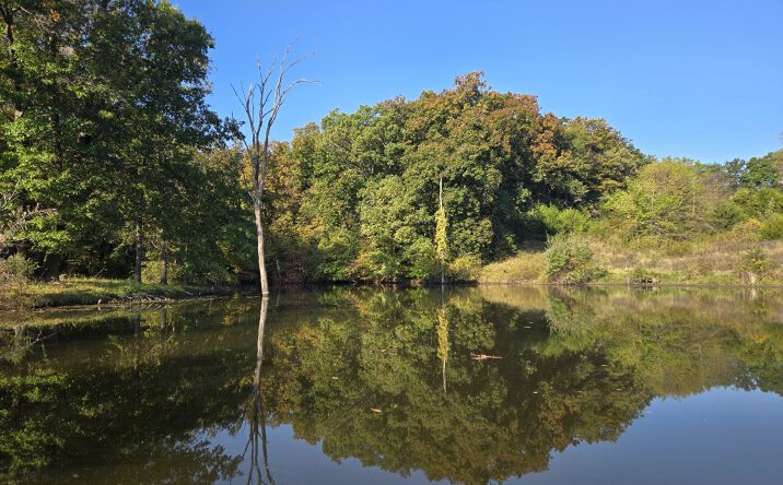 Pictures of Land property located at 150th Street, Floris, IA 52560 for sales - image #1