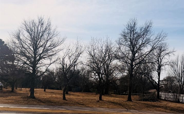 Pictures of Land property located at 2807 Arlington Street, Ada, OK 74820 for sales - image #1