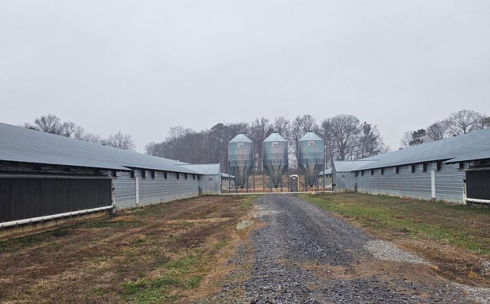 Pictures of Land property located at 313 Ed Cross Road SE, Cleveland, TN 37323 for sales - image #1