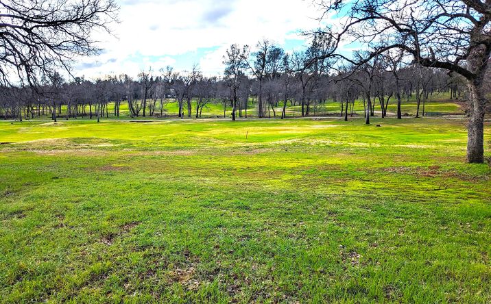 Pictures of Land property located at 19417 Belleterre Drive, Redding, CA 96003 for sales - image #1