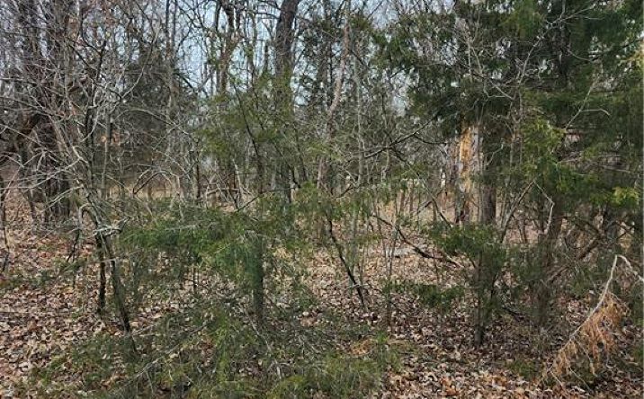 Pictures of Land, Special Purpose property located at 13 Silver Lane, Linn Valley, KS 66040 for sales - image #1