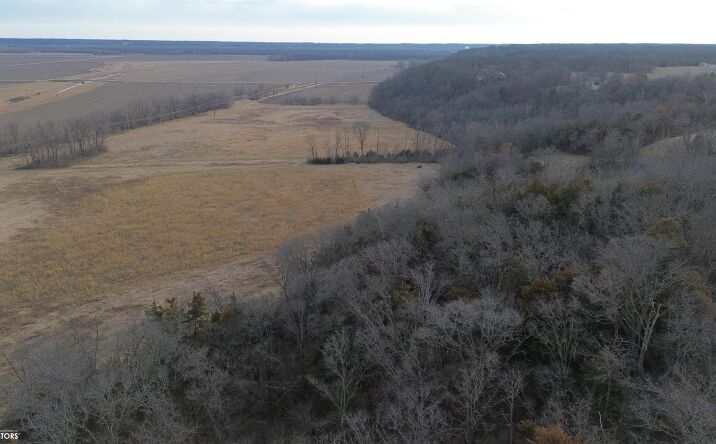 Pictures of Land property located at 73 Acres Hwy 61, Wever, IA 52658 for sales - image #1