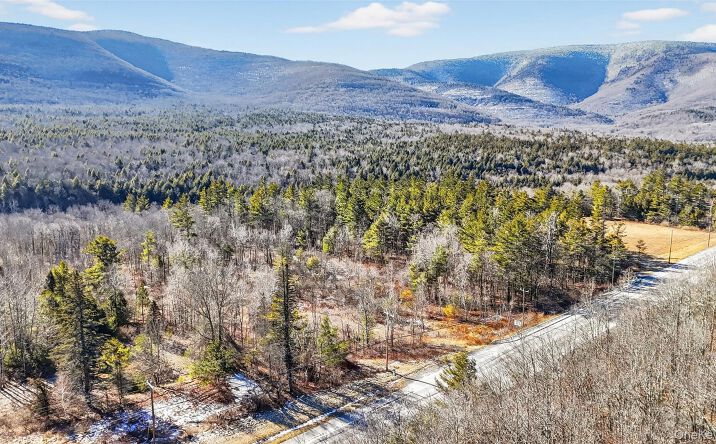 Pictures of Land property located at 6769 Rt-23A, Hunter, NY 12442 for sales - image #1