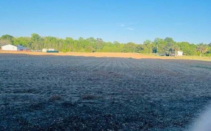 Pictures of Land, Multifamily property located at 2552 Joseph Lemon Dingle Rd. 4, Manning, SC 29102 for sales - image #1