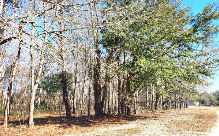 Pictures of Land, Multifamily property located at Lot 1 Santee Lumber Road, Santee, SC 29142 for sales - image #1
