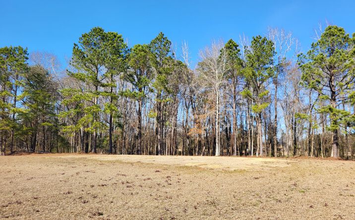 Pictures of Land, Multifamily property located at Lot 2 Santee Lumber Road, Santee, SC 29142 for sales - image #1