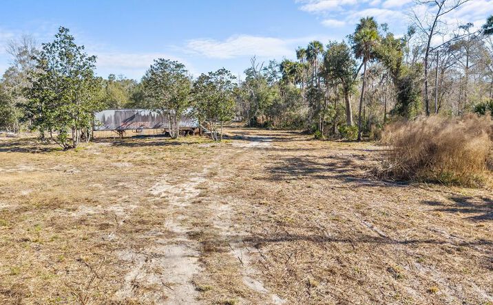 Pictures of Land property located at TBD Hwy 361, Steinhatchee, FL 32359 for sales - image #1