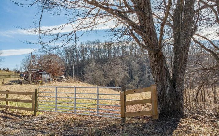 Pictures of Land, Multifamily property located at TBD Fort Chiswell Rd, Max Meadows, VA 24360 for sales - image #1
