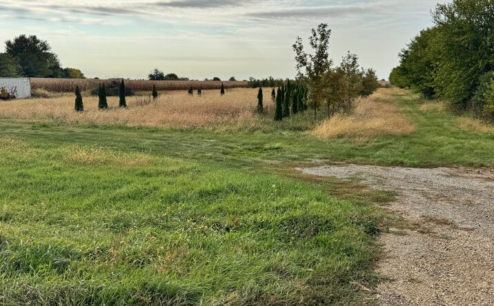 Pictures of Land property located at Lot 9 Rowe Rd, Elburn, IL 60119 for sales - image #1
