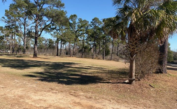 Pictures of Land, Office property located at 3392 Louvinia Dr, Tallahassee, FL 32311 for sales - image #1