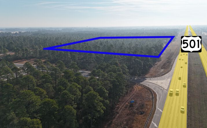 Pictures of Land property located at TBD Highway 501, Myrtle Beach, SC 29579 for sales - image #1