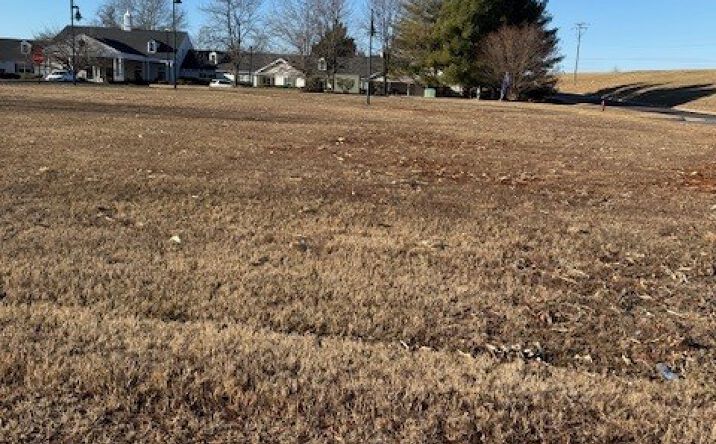 Pictures of Land property located at 0 Radney Rd, Orange, VA 22960 for sales - image #1