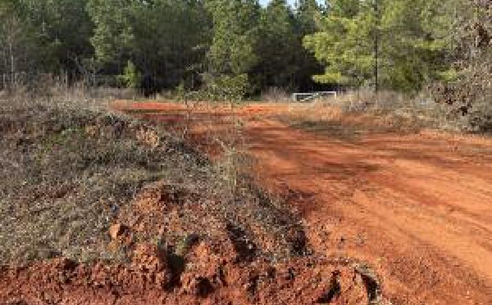 Pictures of Land, Special Purpose property located at Piney Wood Pineywood Road, Saluda, SC 29138 for sales - image #1
