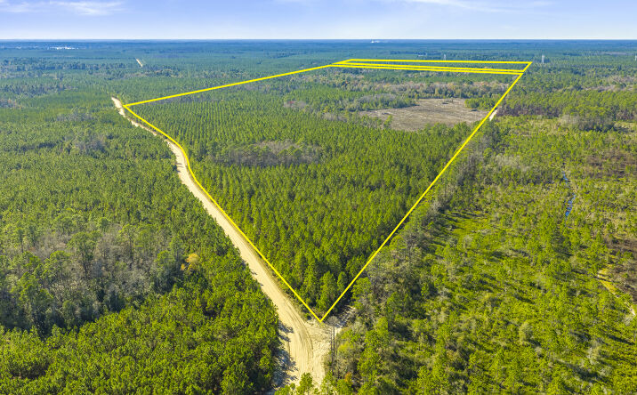 Pictures of Land property located at 0 George's Lake Road, Keystone Heights, FL 32656 for sales - image #1
