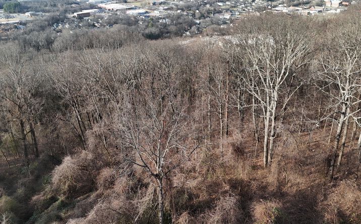 Pictures of Land property located at Pearl St, Chattanooga, TN 37406 for sales - image #1