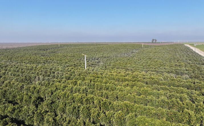 Pictures of Land property located at Quinn Rd, Delano, CA 93215 for sales - image #1