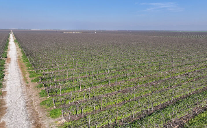 image of property at WALLACE ROAD Delano Mcfarland CA 93215