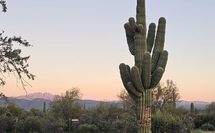 Pictures of Land property located at 32XXX N 162ND St F, Scottsdale, AZ 85262 for sales - image #1