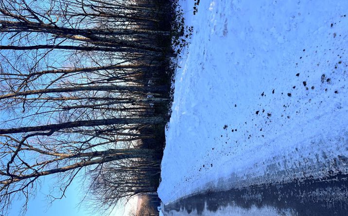 Pictures of Land property located at Budd Road, Mamakating, NY 12790 for sales - image #1