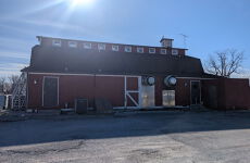 29398249