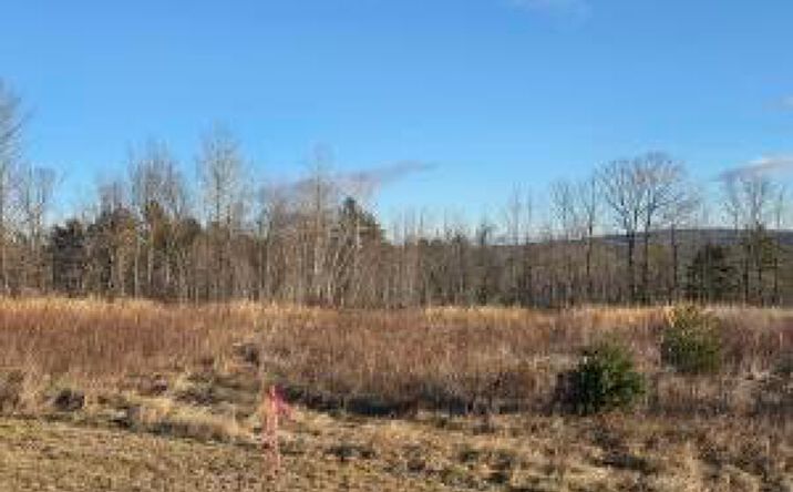 Pictures of Land property located at Lot 7 Off Lane Road, Mechanic Falls, ME 04256 for sales - image #1