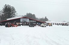 29400341