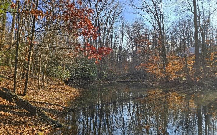 Pictures of Land property located at Collinwood Dr, Oak Hill, WV 25901 for sales - image #1