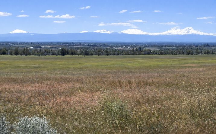 Pictures of Land property located at Wiley Rd, Powell Butte, OR 97753 for sales - image #1