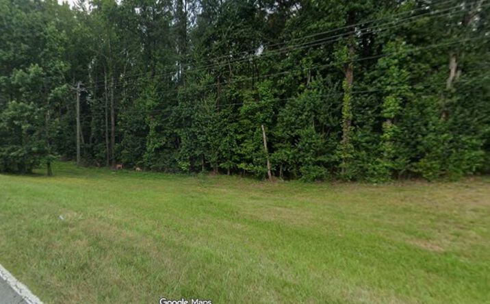 Pictures of Land property located at 2436 Iris Dr SW, Conyers, GA 30094 for sales - image #1