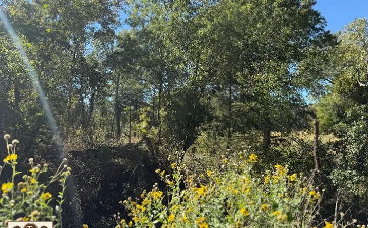 Pictures of Land property located at Lot 67 Camden Lane, Springtown, TX 76082 for sales - image #1