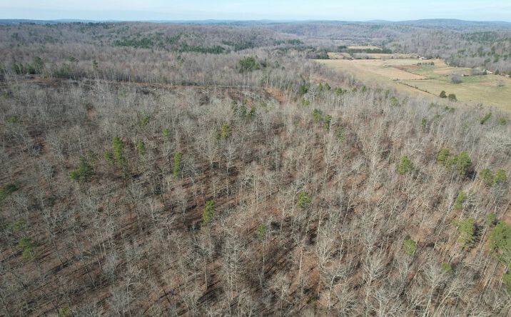Pictures of Land property located at 10535 Highway 67, Fredericktown, MO 63645 for sales - image #1