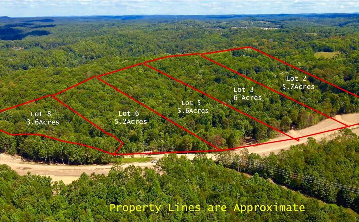 Pictures of Land property located at Lot 9 Gauley Ridge Road, Mount Nebo, WV 26679 for sales - image #1