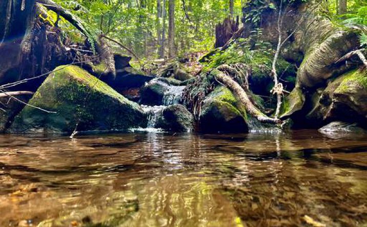 Pictures of Land property located at Tbd Chidester Road, Terra Alta, WV 26764 for sales - image #1