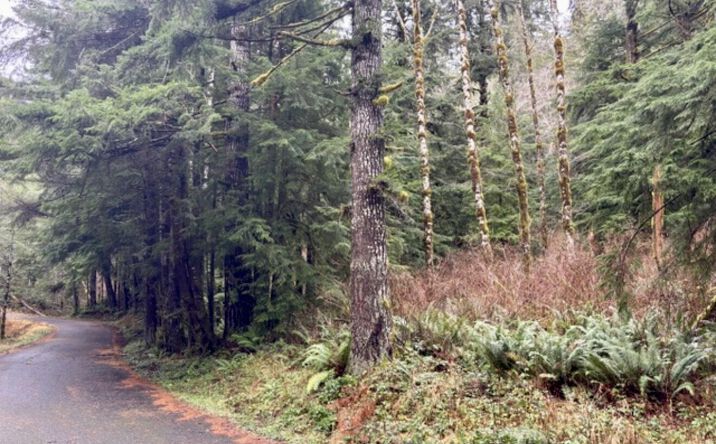 Pictures of Land, Mixed Use, Special Purpose property located at TL100 NF 17, Lincoln City, OR 97367 for sales - image #1