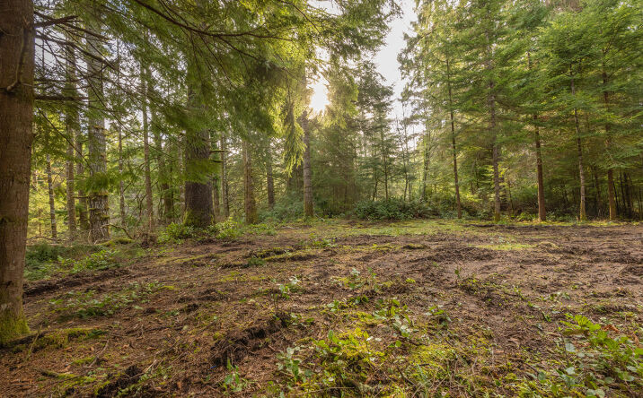 Pictures of Land, Multifamily property located at 400 SE 98th Court, Newport, OR 97366 for sales - image #1