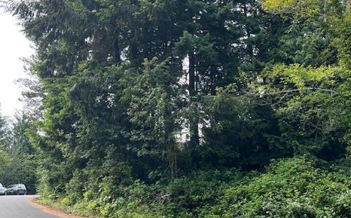 Pictures of Land, Multifamily property located at 300 SW Dolores Drive, Waldport, OR 97394 for sales - image #1